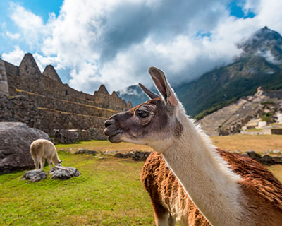 La Maravilla Mundial de Machu Picchu en Cusco