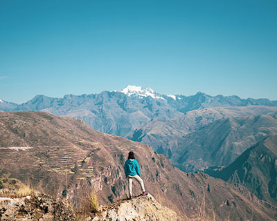 Sumérjase en la impresionante vida silvestre andina y el hermoso paisaje