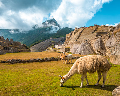 Tour a la Increíble Ciudad Inca: Machu Picchu