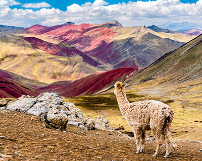 Tour de un día a la Montaña Arcoíris de Palccoyo