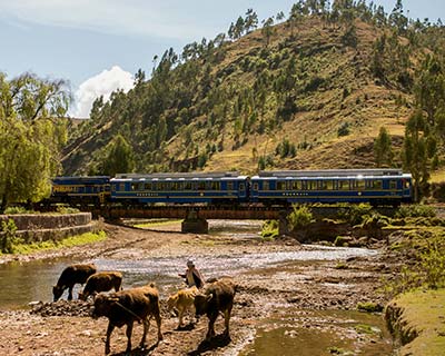 Servicio Exclusivo de Tren Vistadome a Machu Picchu