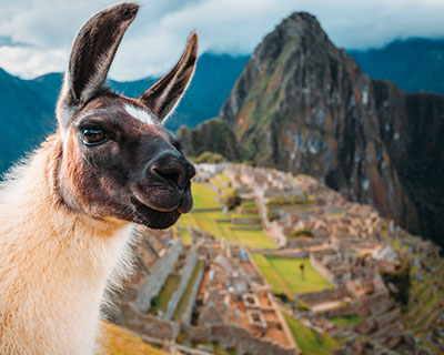 Visite uno de los lugares más energéticos de la tierra, Machu Picchu.