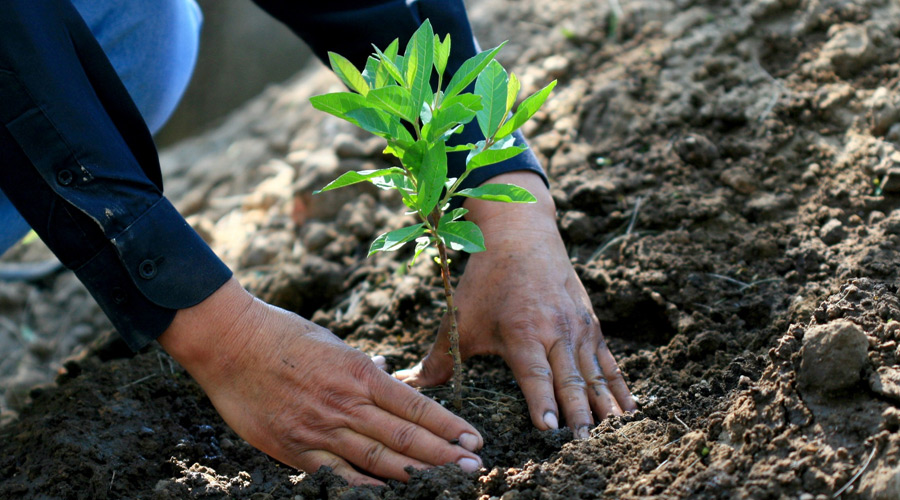 Responsabilidad Ambiental