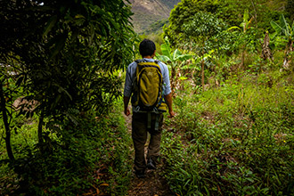 Clima Inca Jungle