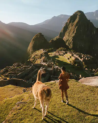 Una llama y un turista viendo la maravilla de Machu Picchu.