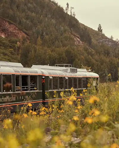 Tren INCA RAIL yendo a la maravilla del mundo moderno - Machu Picchu