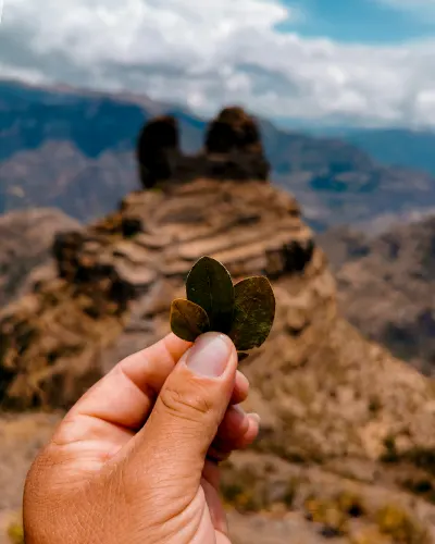 Kintu de hoja de coca con el fondo del centro arqueológico de Waqrapukara